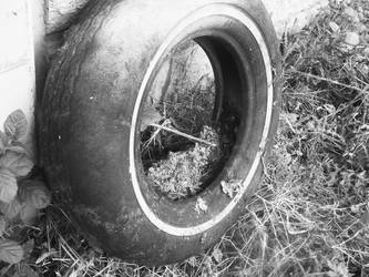 Old Tire