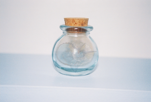 Vaporeon in a Bottle!