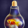 Goldfish in a Light Bulb