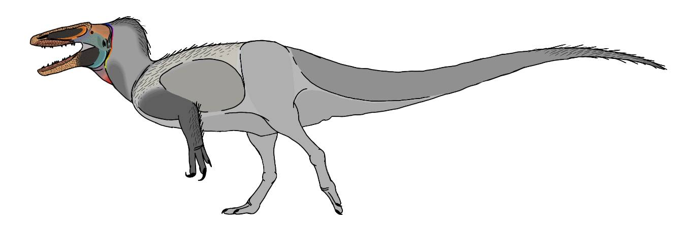 Megaraptor by KauaMartinspaleo on DeviantArt