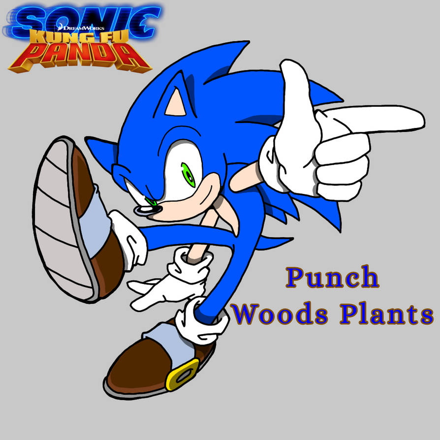 Kung Fu Panda AU (Sonic Furious) by SofiaKoopa14 on DeviantArt