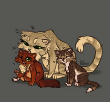 Sandstorm with kits