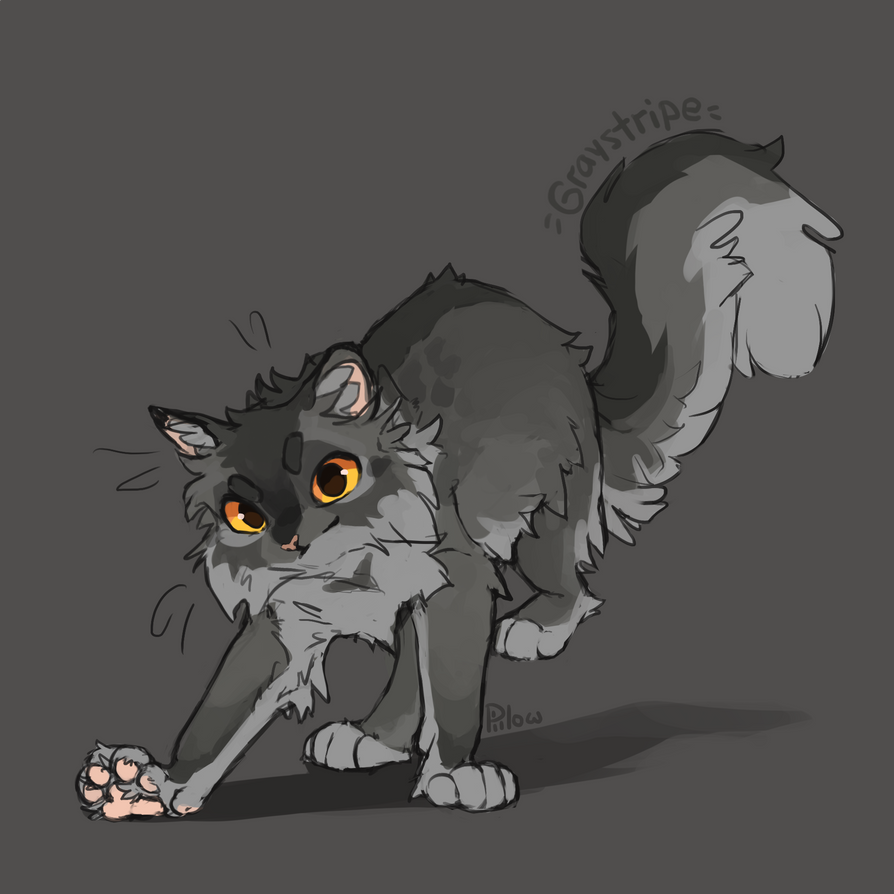 Graystripe
