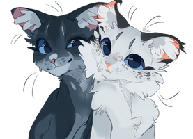 bluefur and snowfur