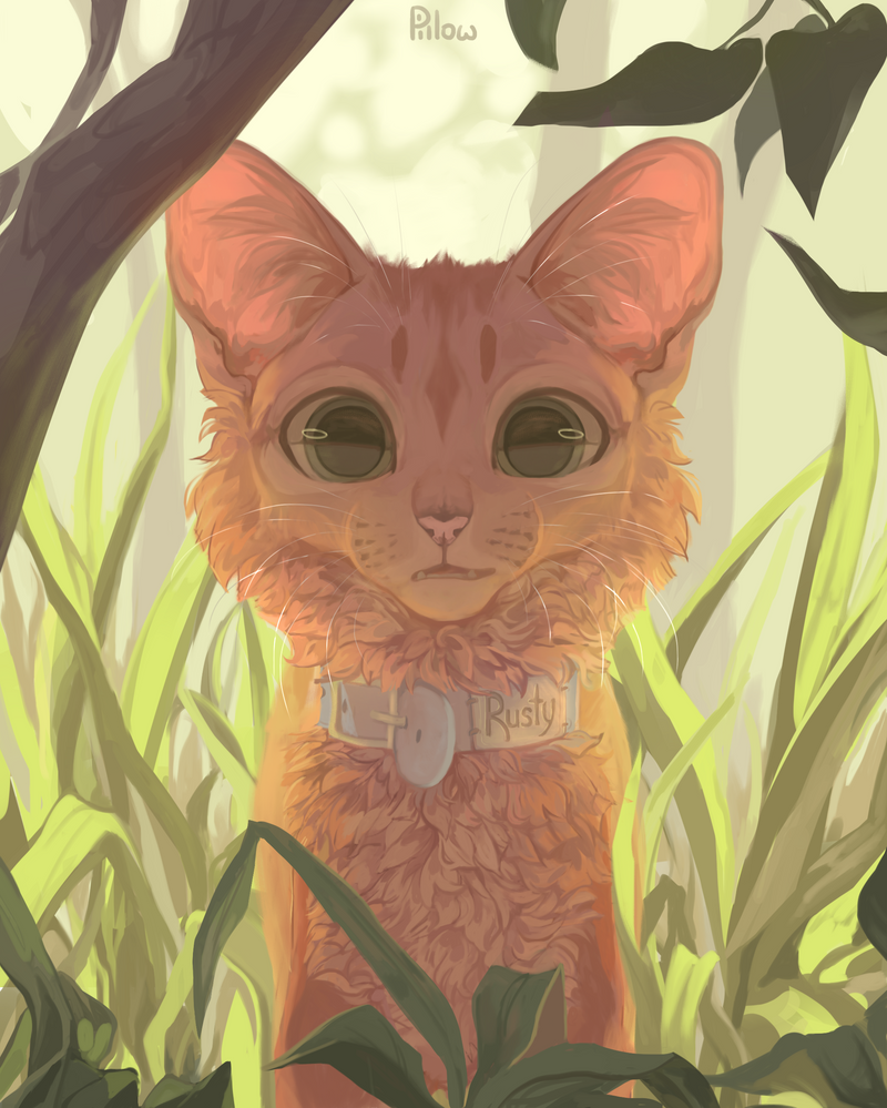 rusty by GrayPillow on DeviantArt