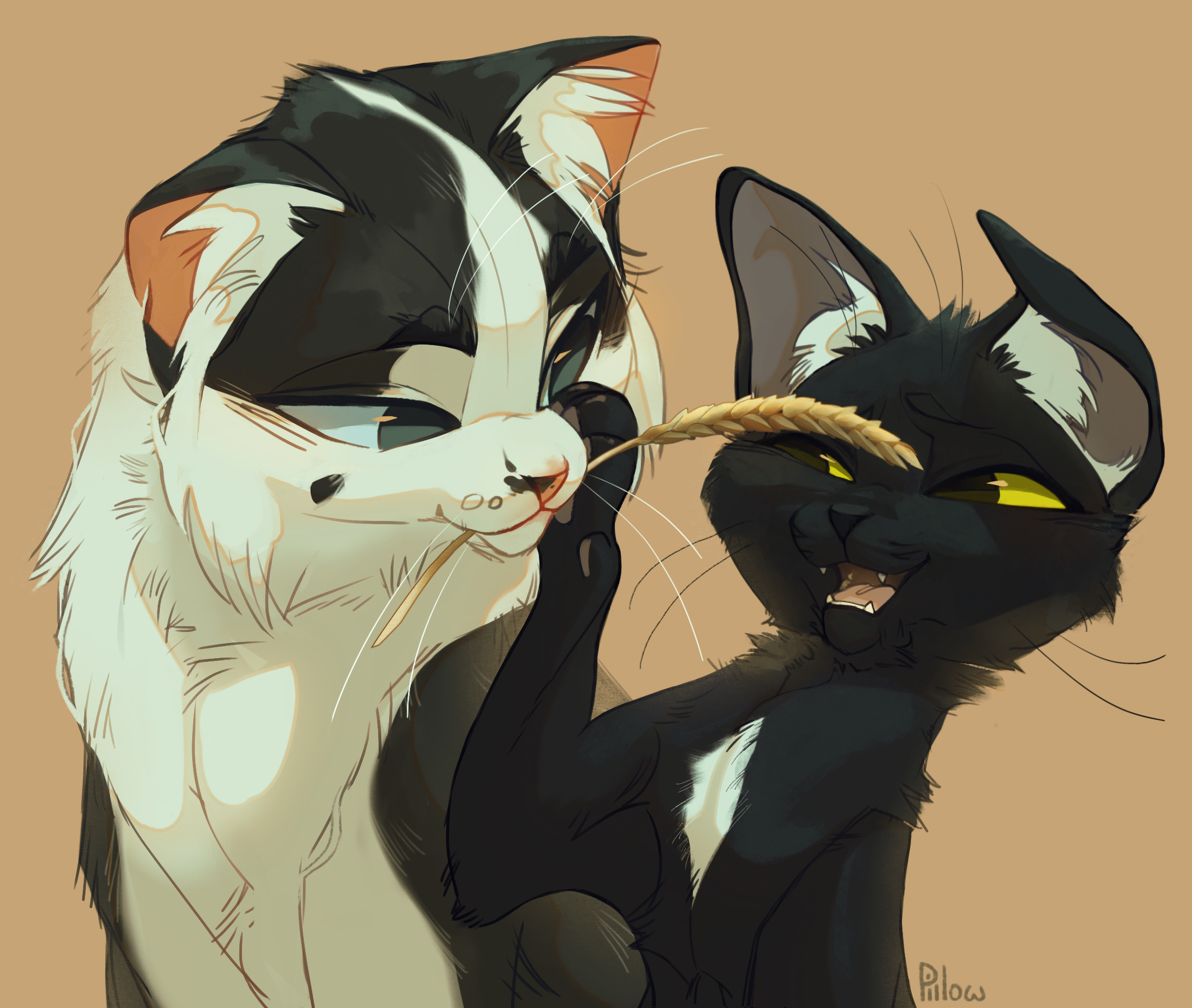 Warrior Cats :: Ravenpaw and Barley by PeachHoneyMelt on DeviantArt