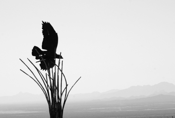 Bird figure with cactus ribs