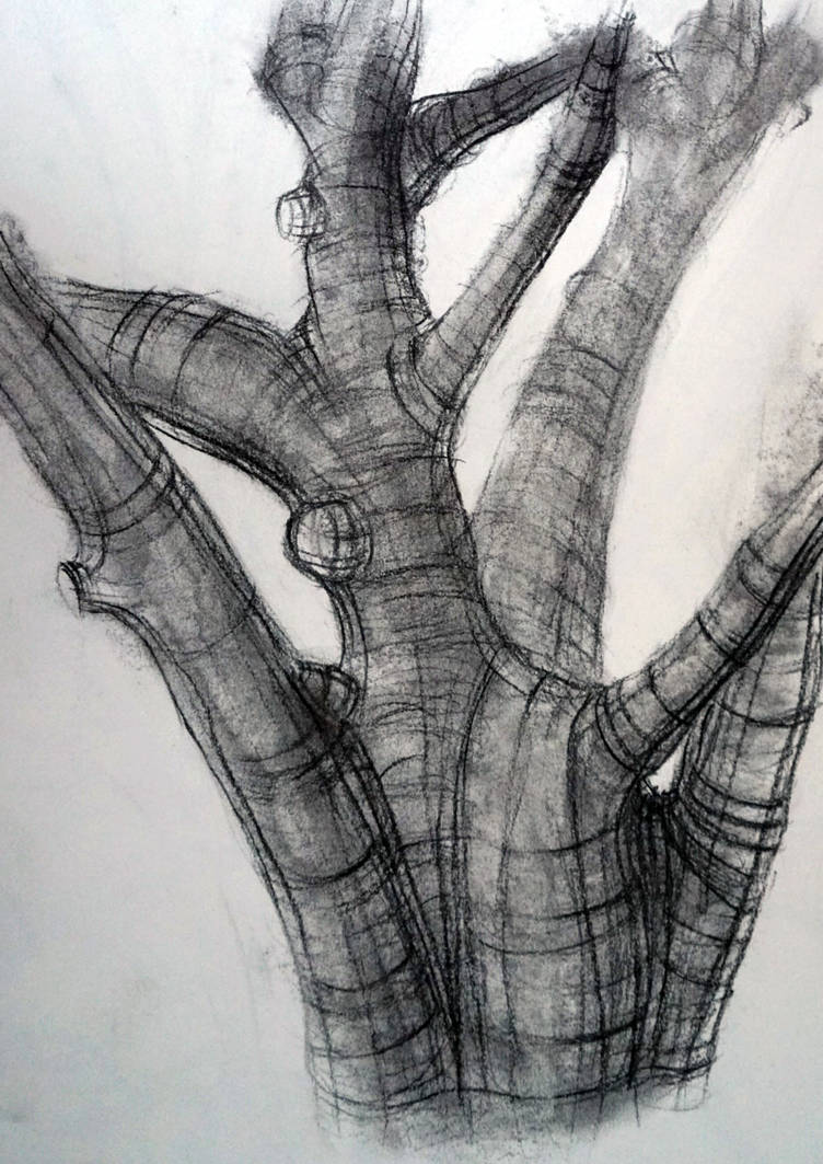 Biomorphic Tree Study #1 by iilusce on DeviantArt