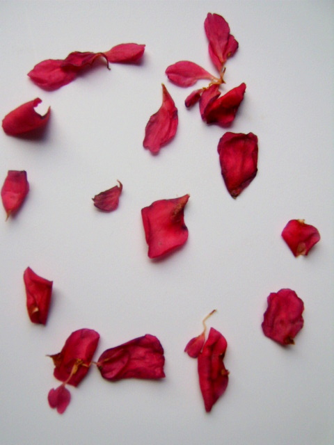 Petals 4