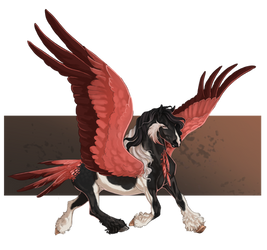 Auction | Pegasus Design(CLOSED)