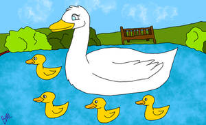 The Duck Family