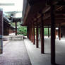 Meiji Jingu Shinto Shrine 15