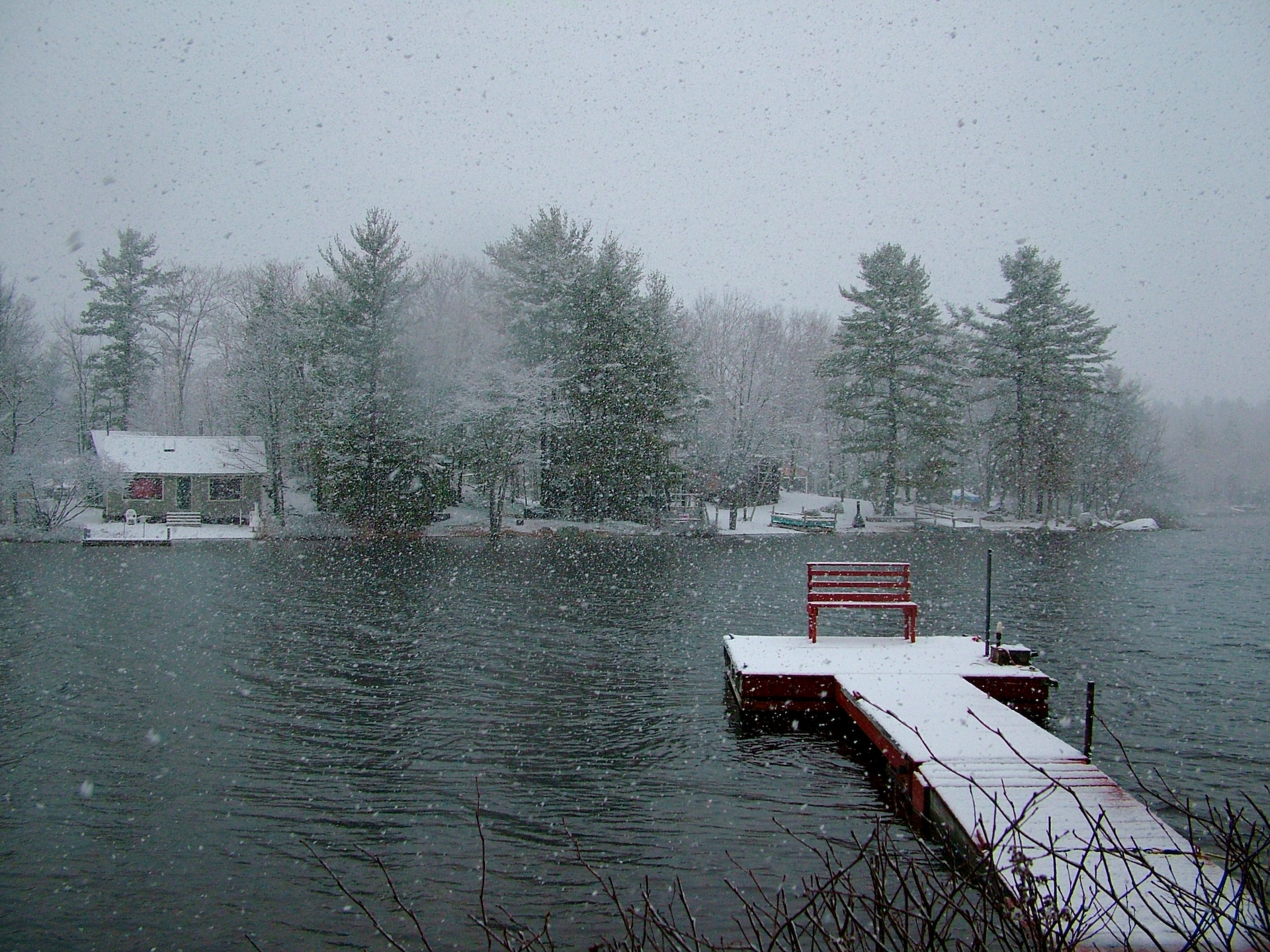 Winter on the Pond