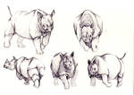 Small Rhino Sketches by usma1000