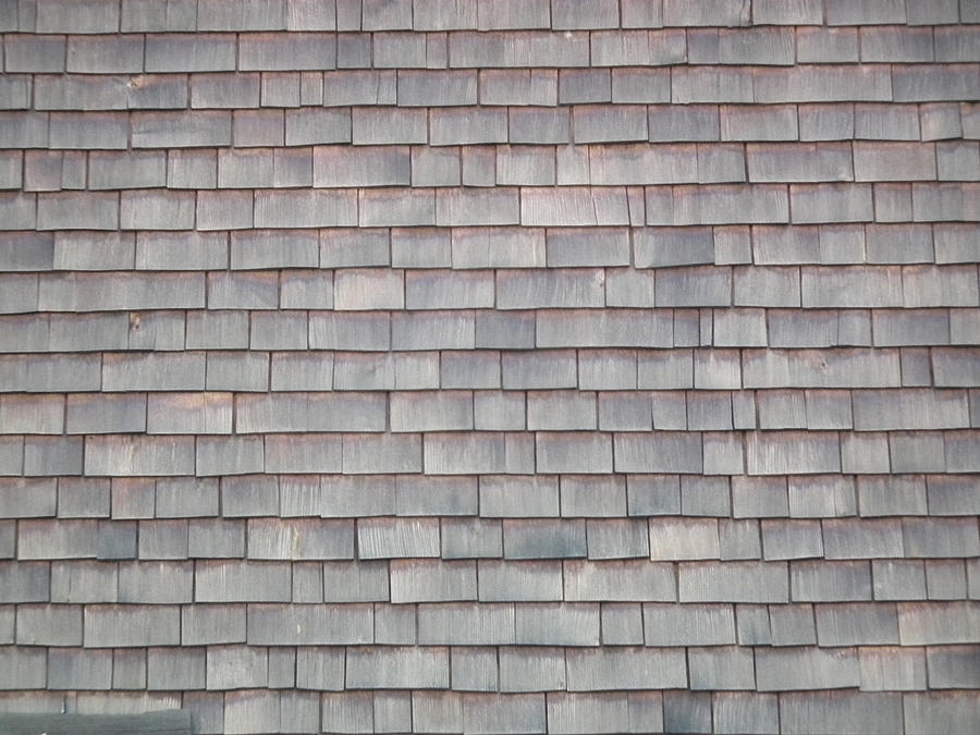 Cedar Shingle Roof 01