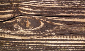 Wood Texture 12