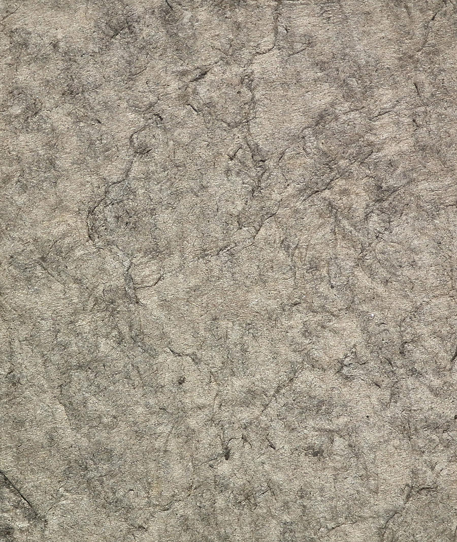 Old Weathered Cardboard