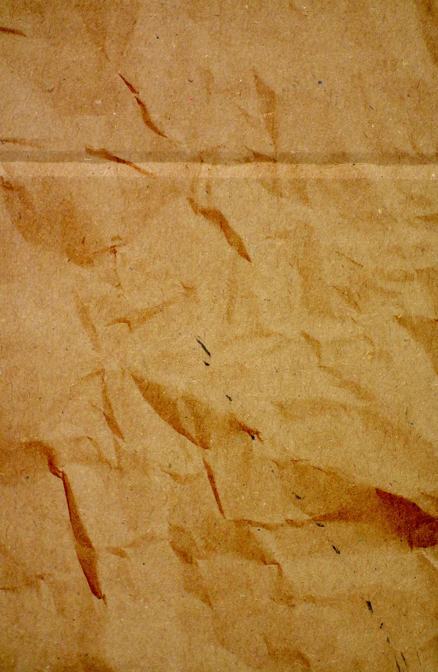 Cardboard Texture 02