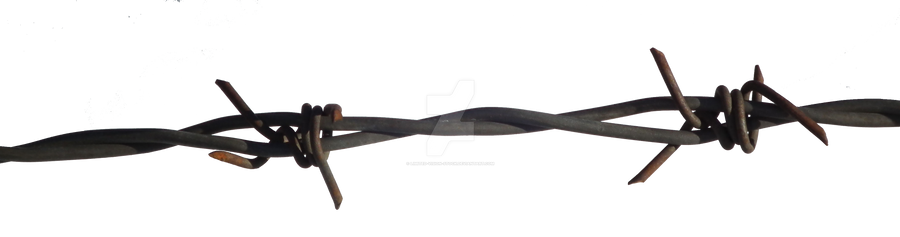 Transparent online barbed wire