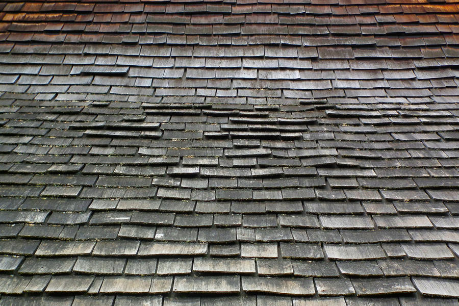 Cedar Roof Dark 2