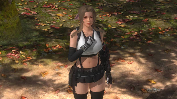 DOA5TifaAerith