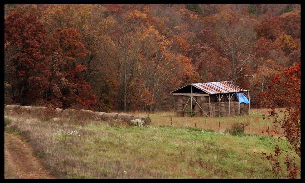 Autumn Barn Of Hay