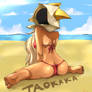 Taokaka on the beach