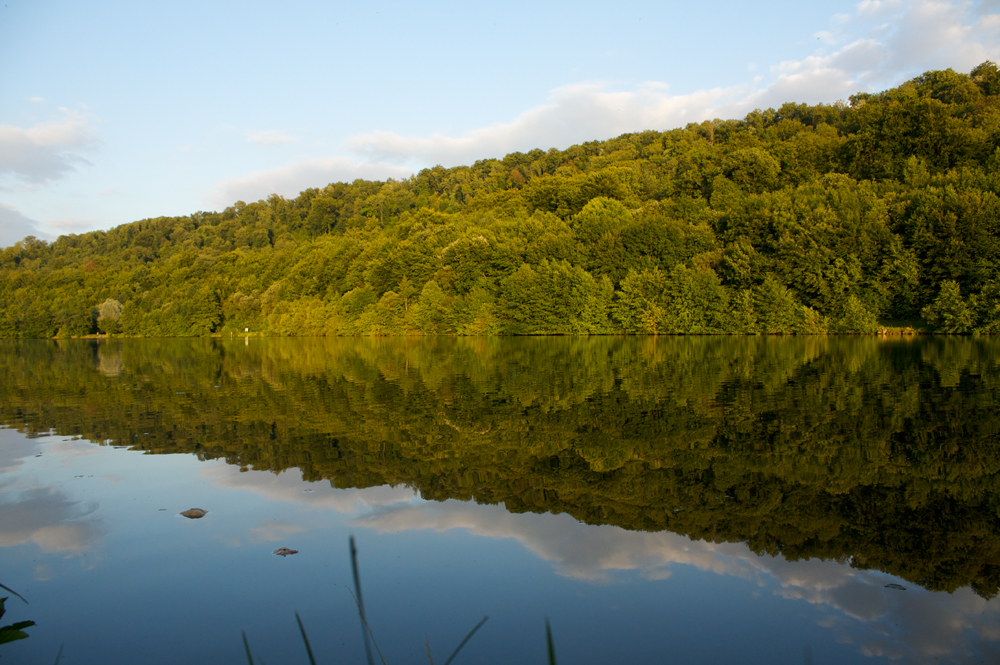 Reflections