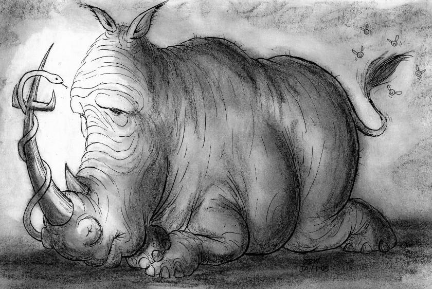 Rhino by stinkywigfiddle on DeviantArt