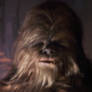 Chewbacca star wars stock