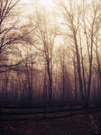 home sweet home by CueTheMusic