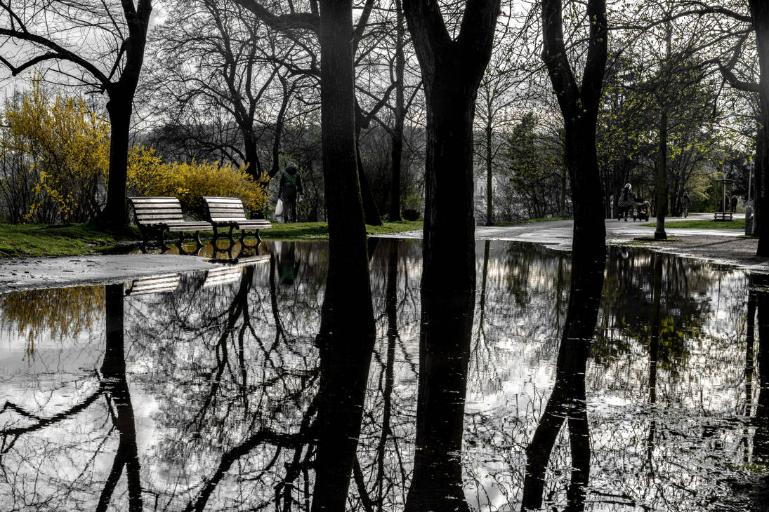 Puddle, trees by OlegsVeramejs on DeviantArt