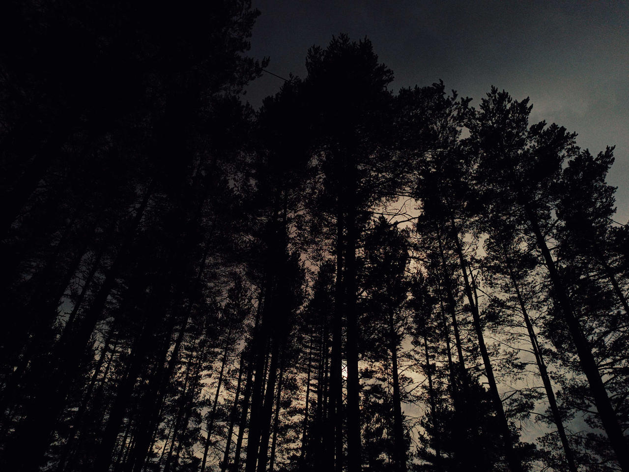 nature 3