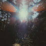 nature 1