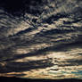 The sky was beautiful today...