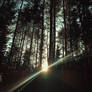 the sun shines, after all...