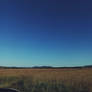 take a moment to breathe...