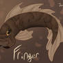 Fringer