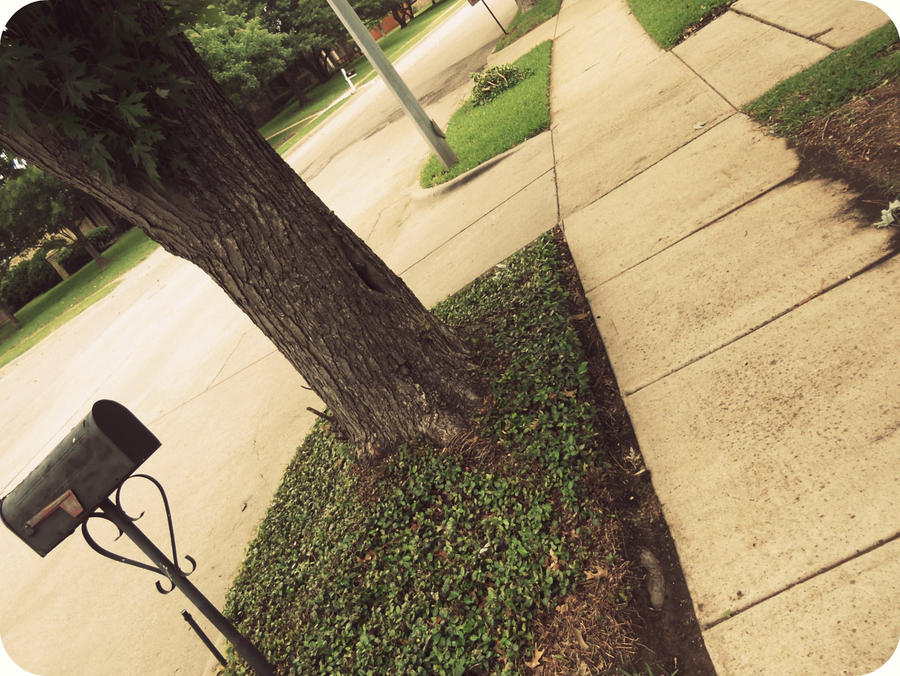 Common View Tree A Common View by TheColorFades on DeviantArt
