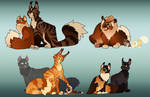 Warrior Cat Designs: Firestar's Family by SammytheStorm on DeviantArt