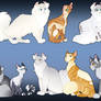 Firestar's Family Tree: Cloudtail