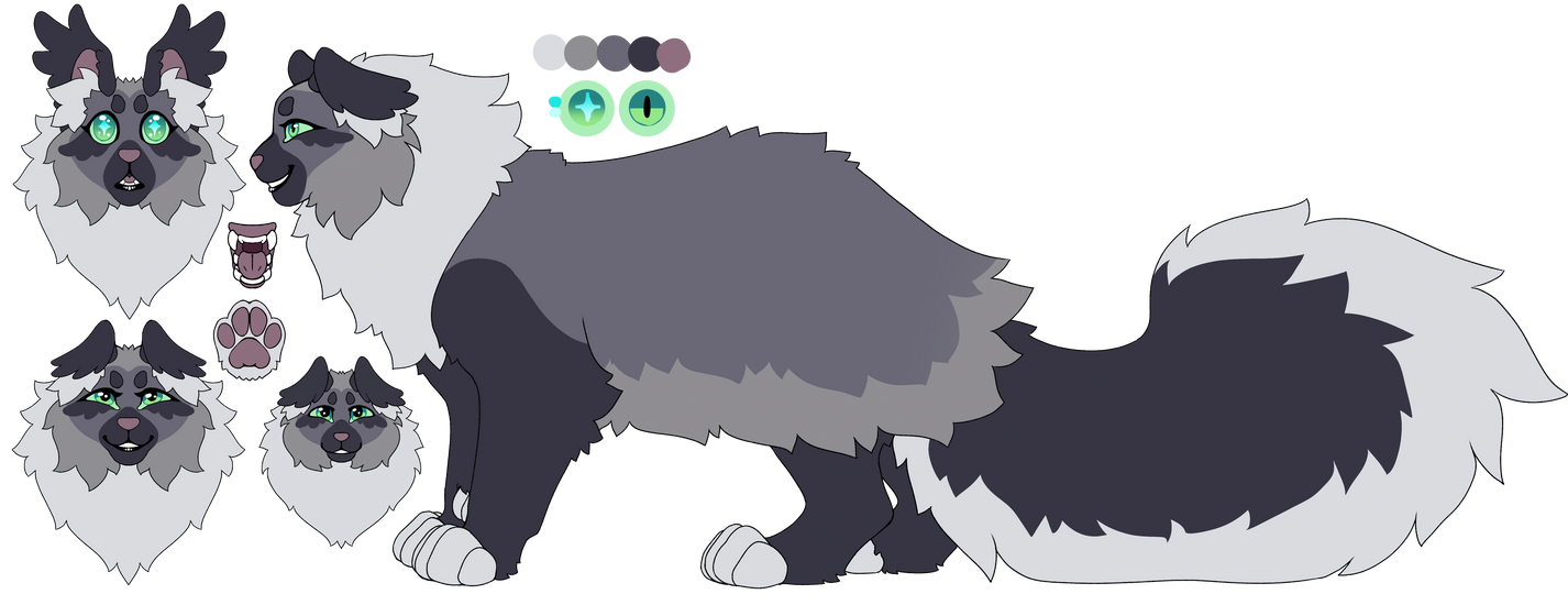 Ivypool Map Ivypool MAP Concepts by TurnipStewdios on DeviantArt