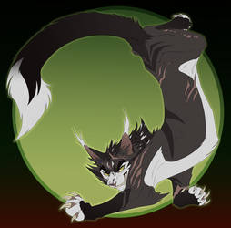 Vicious Circle Akkirayz com