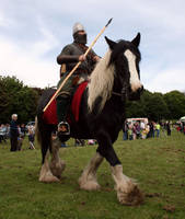 Anglosaxon soldier.