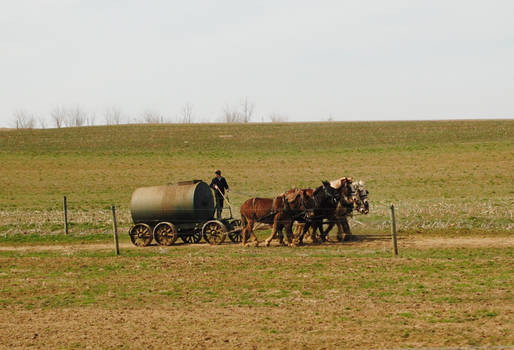 Amish Manure Wagon