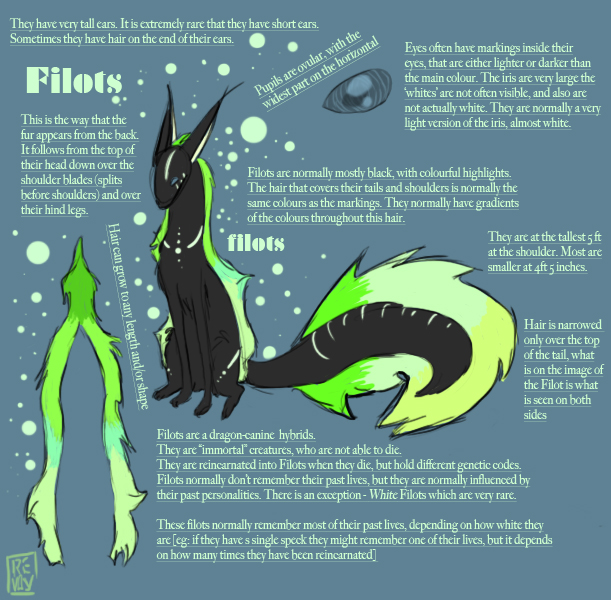 Original Species- Filots