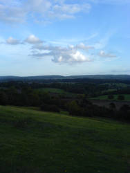 Newlands Corner