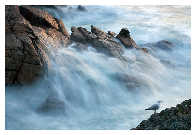 A life on the ocean wave