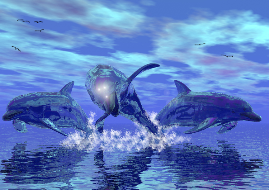 Dolphin Dream