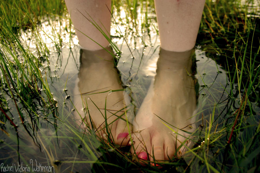 Summer Rpm Feet Summer Feet by StradivariusScalpel on DeviantArt